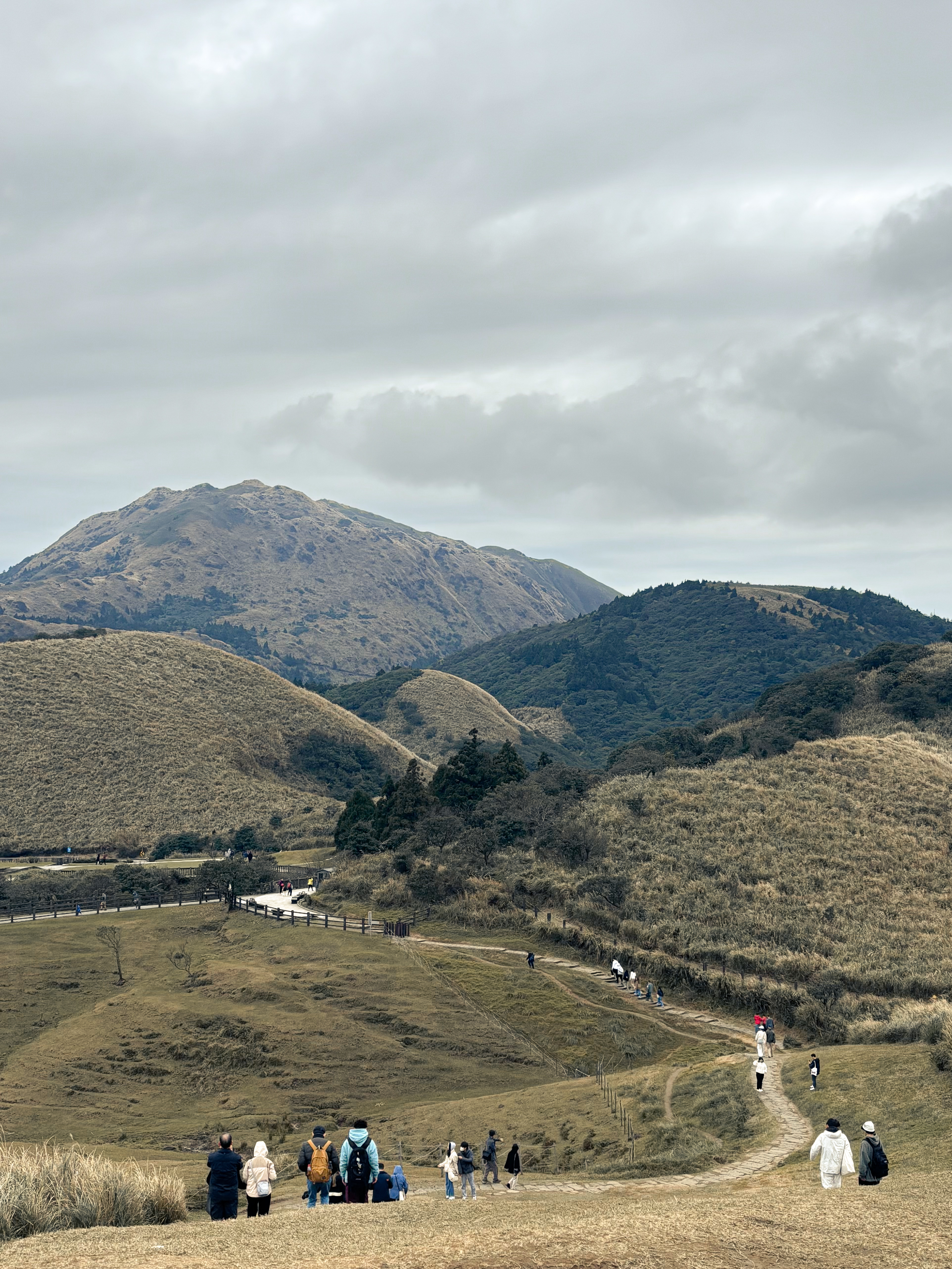 Yangmingshan grasslands hiking trail